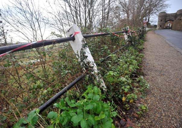 23/1/14- Strand Hill, Winchelsea- fencing in need of repair