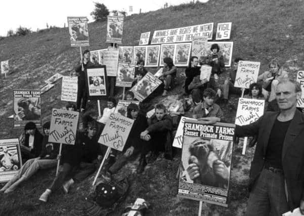 JPCT Shamrock Farm protest