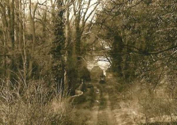 Brookenbee Lane, which had the ominous nickname 'Suicide Lane' at the time