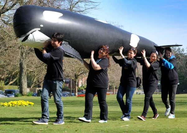 Whale Trail of Sussex and Surrey, with a 5-metre life-size orca touring the counties to promote the issues surrounding the keeping of whales and dolphins in captivity came to Haywards Heath. Pic Steve Robards SUS-140313-164502001