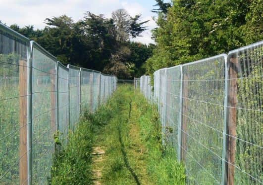 Fencing crisscrossed the area of the planned site