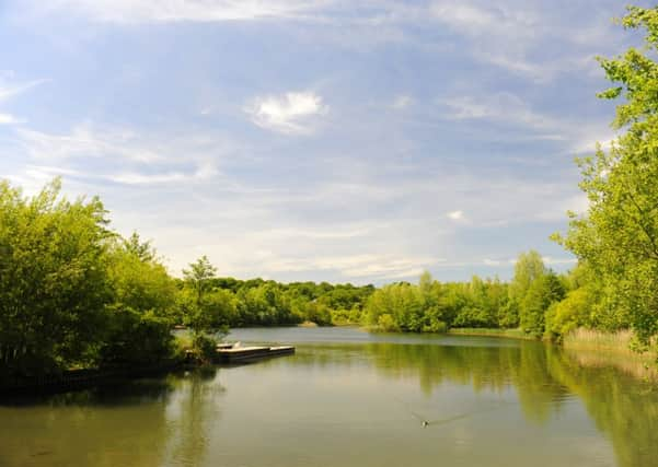 JPCT 050613 Scenic pic, Southwater Country Park. Photo by Derek Martin ENGPPP00320130506171302