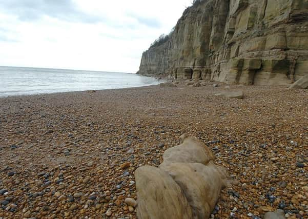 26/2/09- Pett Level Beach
Photo by Steve Hunnisett