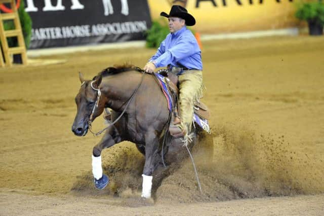 Doug Allen (GBR) riding Don Junio Whiz. Picture courtesy Kit Houghton/BEF