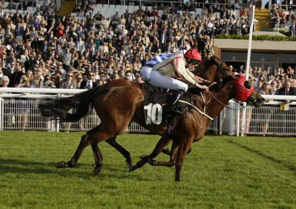 Chevise shades the TFN Stakes at Goodwood  Picture by Clive Bennett