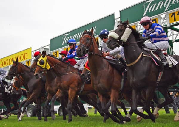 They're off! Glorious Goodwood is under way for another year   Picture by Chris Hatton