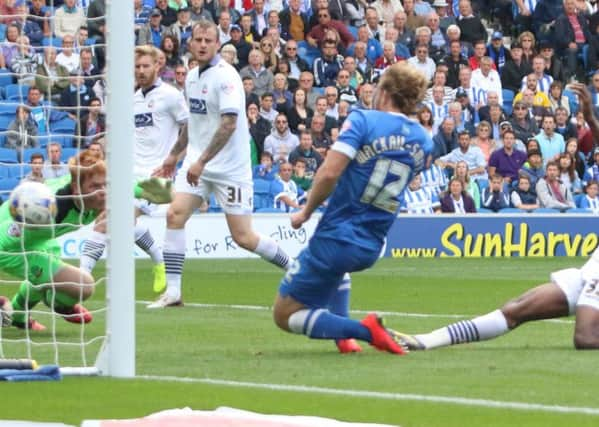 Albion v Bolton. Photo: Angela Brinkhurst