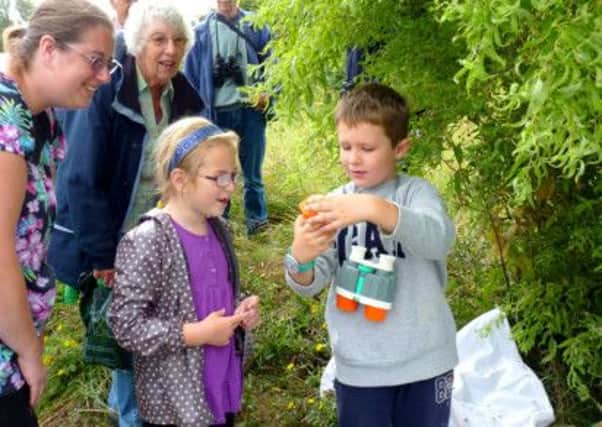 Children caught, identified and then returned the bugs to their habitat