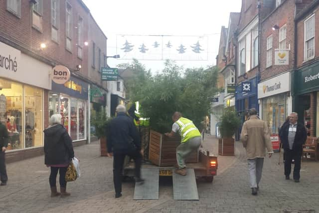 Bamboo planters in West Street removed by the council (Johnston Press/JJP). SUS-141124-103522001