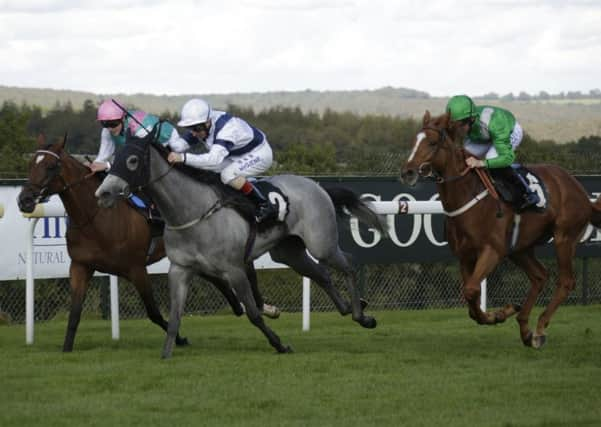 Action from Fontwell Park    Picture by Clive Bennett