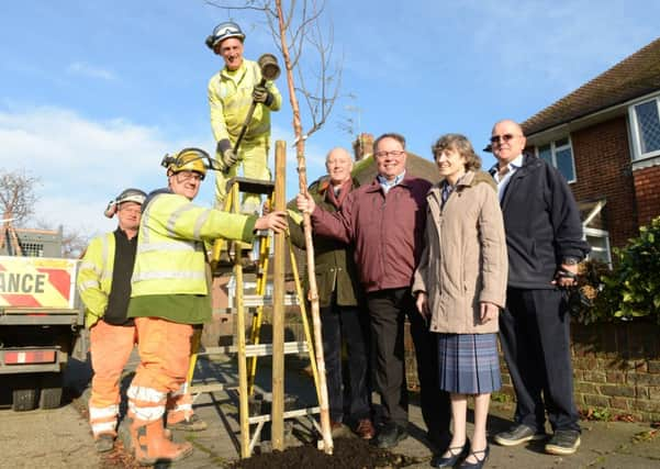 WH 281114 Tree planting in Melrose Avenue