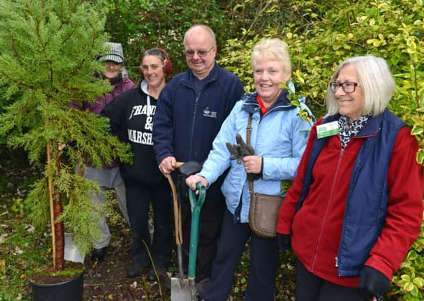 Green-fingered volunteers hard at work in Mewsbrook Park D14491622a