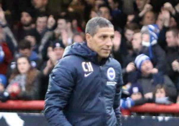 Brighton boss Chris Hughton