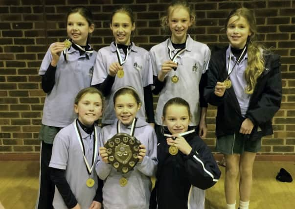 Farlington U11 netball winners SUS-150126-103613001