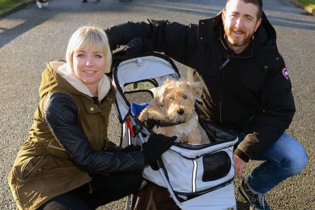 LG 260115  Brave dog Chester in a 'wheelchair' becoming a minor celeb and inspiring other people. With owners Stuart and Karen Bellis. Photo by Derek Martin SUS-150126-094726001