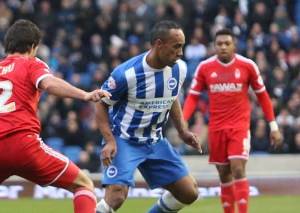 Albion striker Chris O'Grady