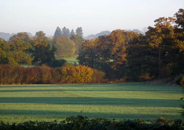 Land off Old Guildford Road in Broadbridge Heath where Gleeson Developoments are hoping to secure permission for 165 homes and a 60-bed care home (submitted). SUS-150224-110906001