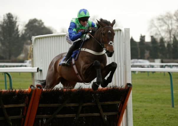 Desert Queen wins the opener at Fontwell   Picture by Clive Bennett