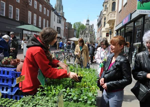 The 2013 Chichester garden market