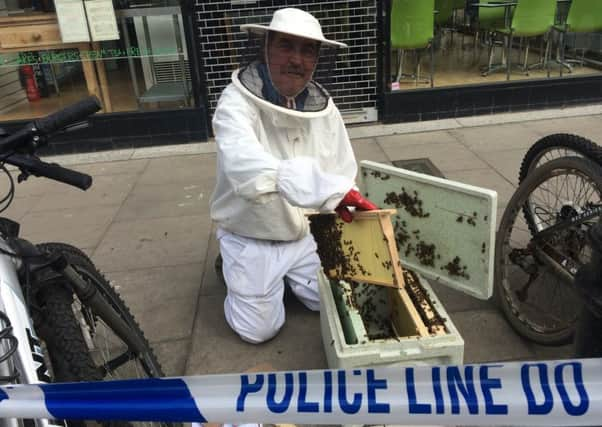 Tony Cropley swarm collector for Chichester, collects thousands of bees that gathered outside shops