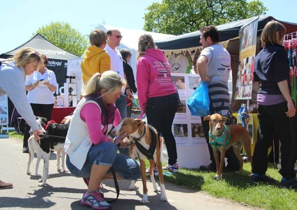 Podenco Friends stand SUS-150519-163823001