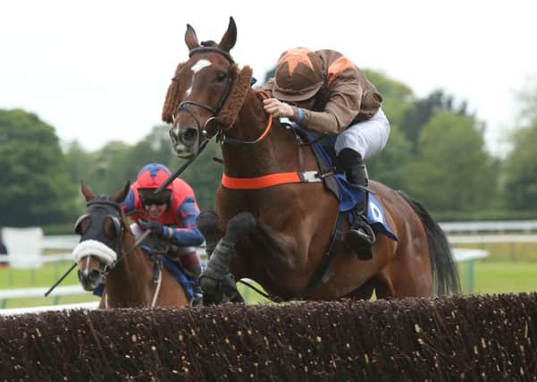 Action at Fontwell's recent family raceday / Picture by Nigel Bowles