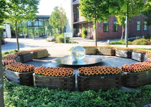 Sunflower Memory Markers at St Barnabas House