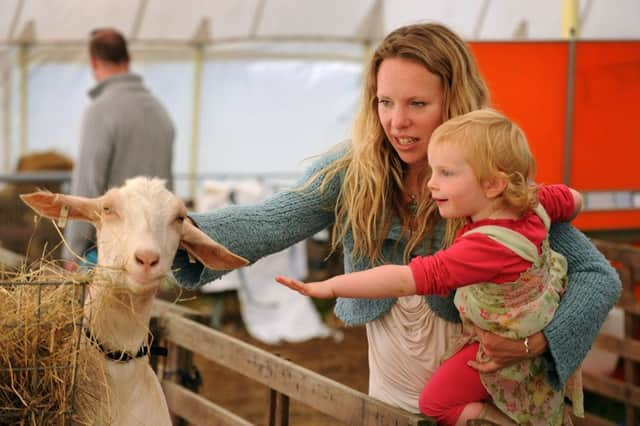 South of England Summer Show 2012