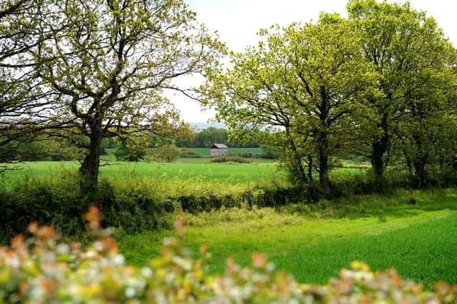 Land owned by Robert Worsley and proposed Mayfield site near Twineham. Pic Steve Robards SUS-151205-132531001