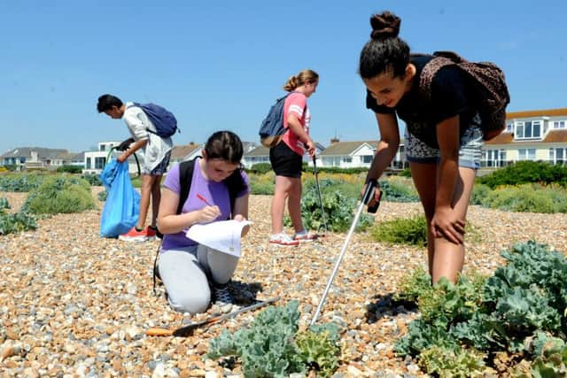 Seeking out microplastics as part of a global investigation ks1500260-2