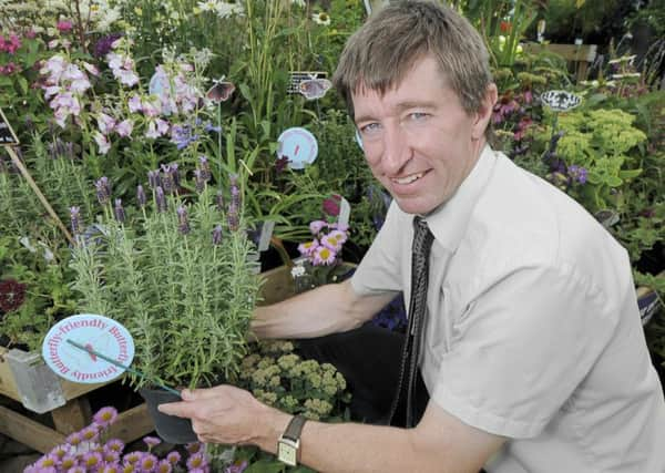 Peter Burks, Horticultural Expert at www.potterandrest.co.uk, gets ready for the Big Butterfly Count SUS-150907-170705001