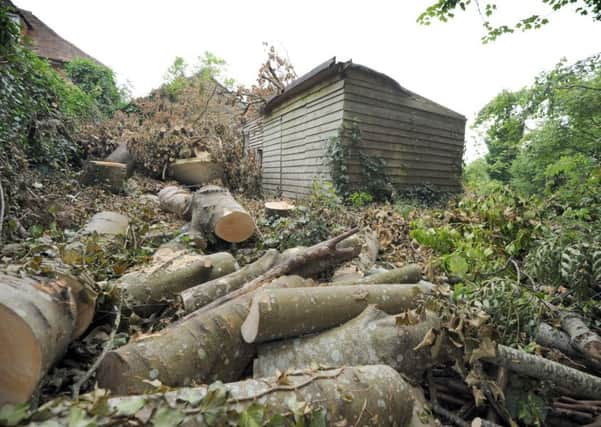 Tree felling next to St Mary's Church, Battle. SUS-150707-130149001