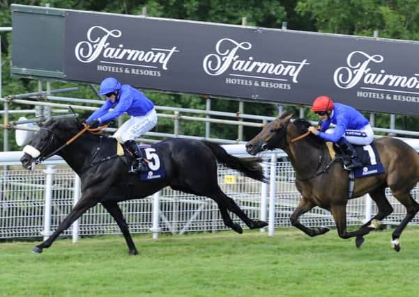 Cavalryman won last year's Goodwood Cup - Roger Charlton has his eye on the prize this time / Picture by Malcolm Wells 142227