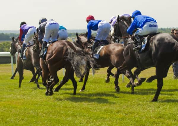 Friday is a day packed with Group races at Goodwood / Picture by Tommy McMillan