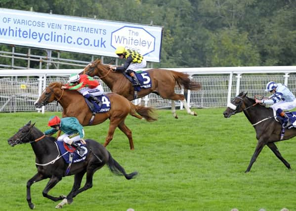 Bow Creek on the way to victory in the 2014 Celebration Mile / Picture by Malcolm Wells