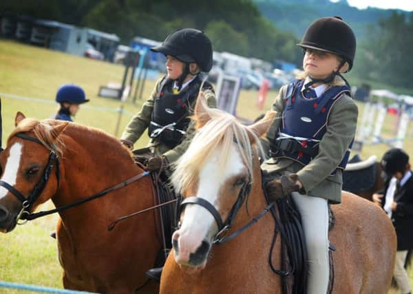 Rye Country Show. SUS-150815-130420001