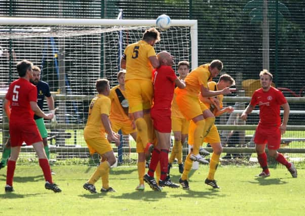 The Reds of Bosham in action at Upper Beeding / Picture by Derek Martin