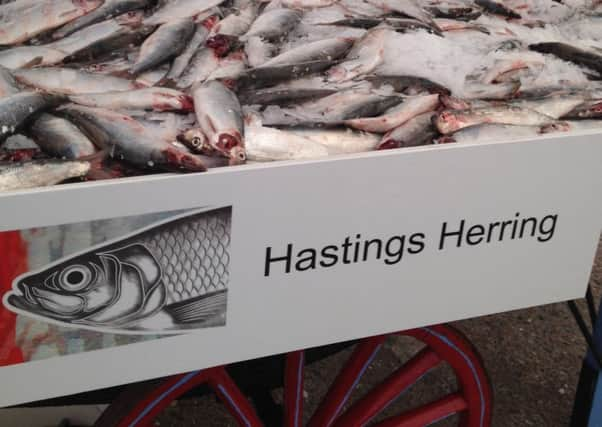 Herring Festival SUS-151027-085658001