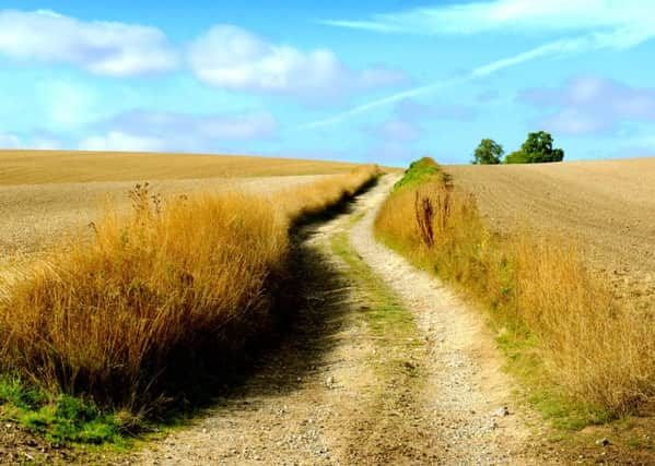 Part of the South Downs Way