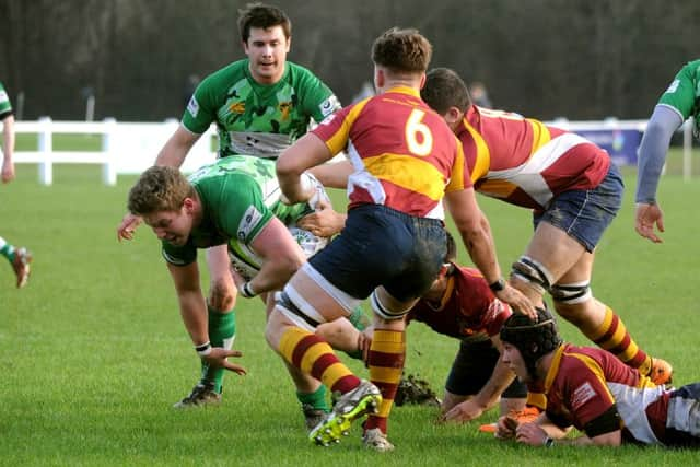 Rugby: London 2 South East: Horsham v Dartfordians. Pic Steve Robards  SR1601989 SUS-160117-130422001