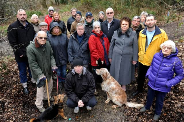 A group has concerns over tree works being carried out by a golf course in Tilgate Forest and the mess the company has left across parts of the forest. Steve Robards  SR1603973 SUS-160802-170719001