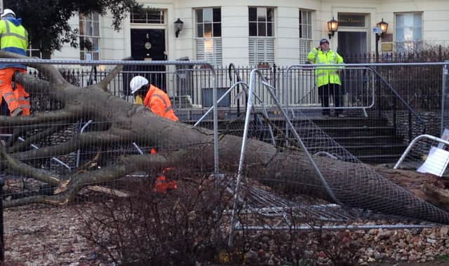 Workers removing the fallen tree from Liverpool Gardens SUS-160215-170919001