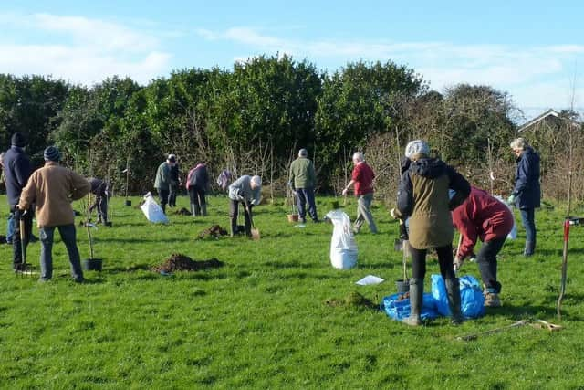 Planning out the planting of the 19 fruit trees at Glebelands Recreation Ground