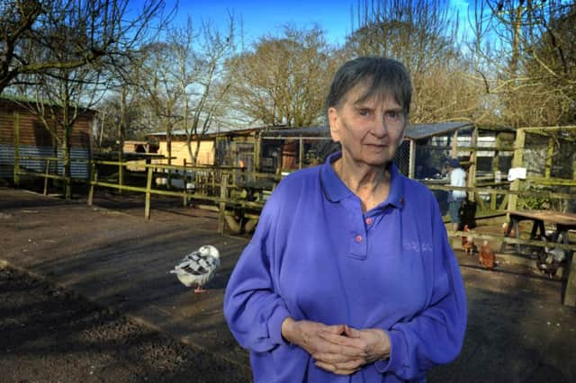 Barby Keel and some of the team at Barby Keel's Animal Sanctuary. SUS-160224-115103001