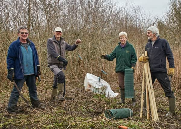 The planting team, Rob Heels, Pete Varkala, Sarah Quantrill and Robin Bowers