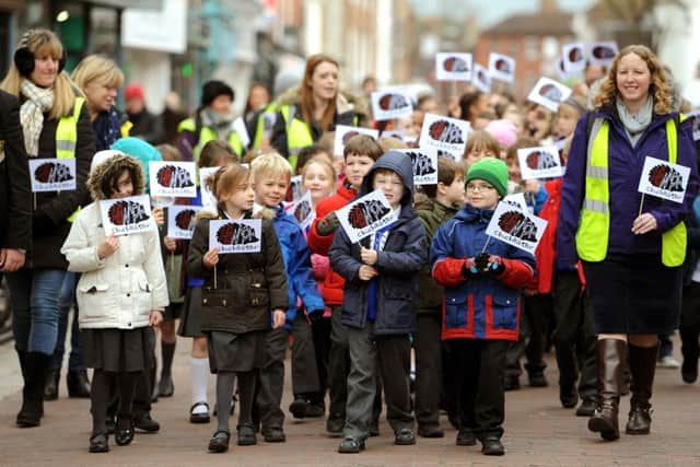 Hedgehog March in Chichester city centre, promoting the 20mph limit. Picture: Steve Robards SR1606428