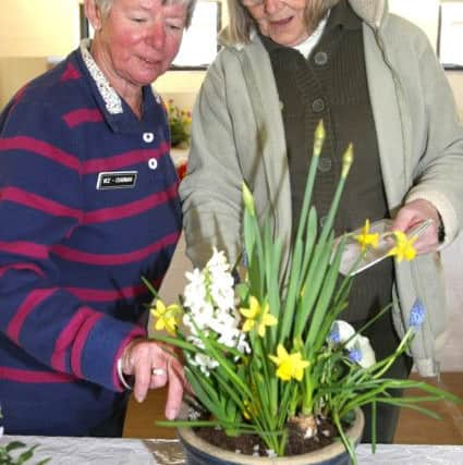 DM1617393a  Vice chairman Vicky Millis and judge Ellen Stock