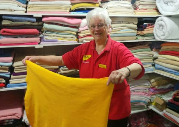 Dogs Trsut Shoreham volunteer Jeanette Stone does washing