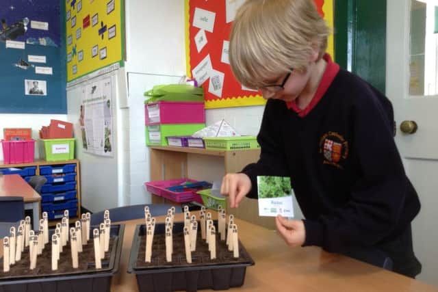 Rocket Science, an out-of-this-world educational project organised by the RHS Campaign for School Gardening, in partnership with the UK Space Agency