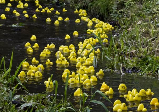 Storrington duck race 2016